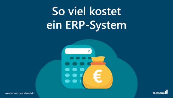 Was darf ein ERP-System kosten?