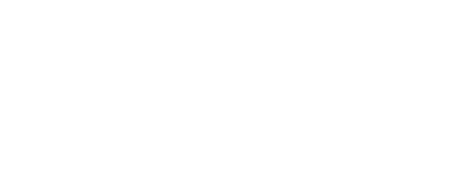 Netronic Logo
